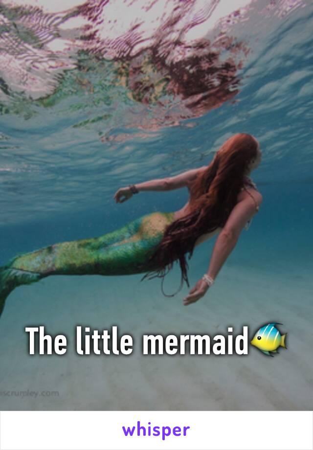 The little mermaid🐠