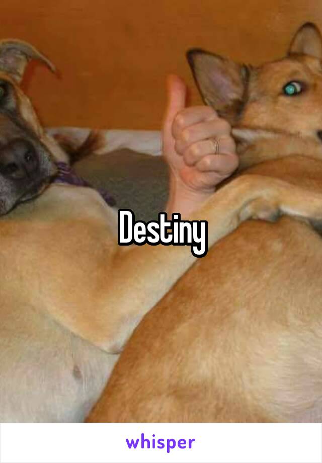 Destiny