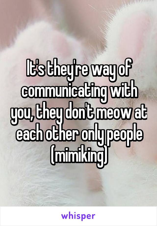 It's they're way of communicating with you, they don't meow at each other only people (mimiking)