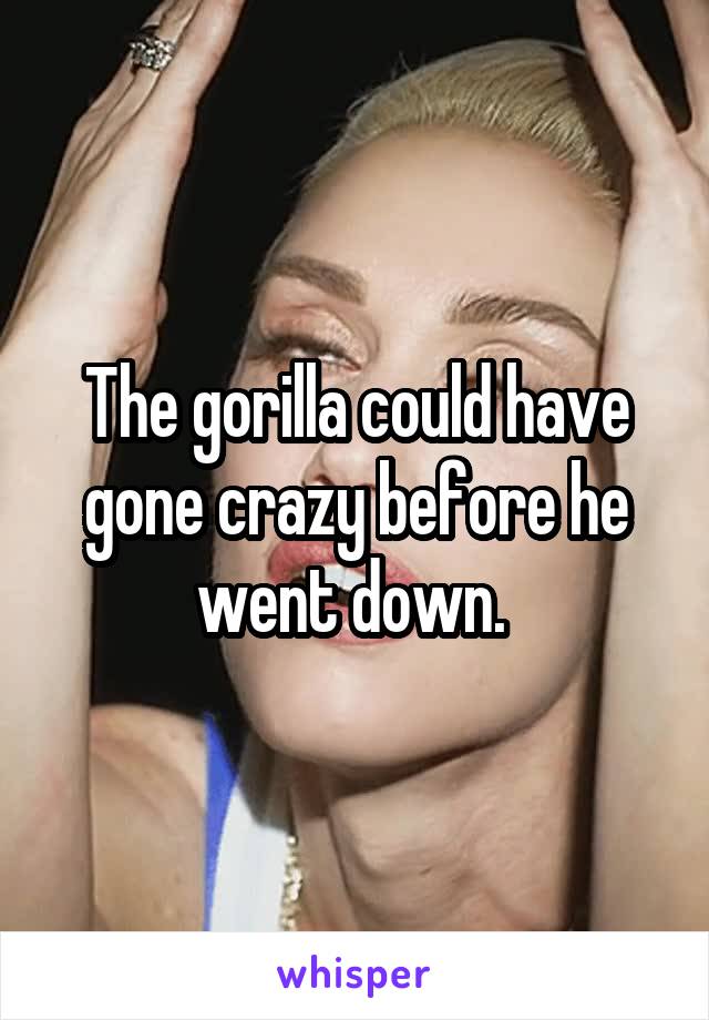 The gorilla could have gone crazy before he went down. 