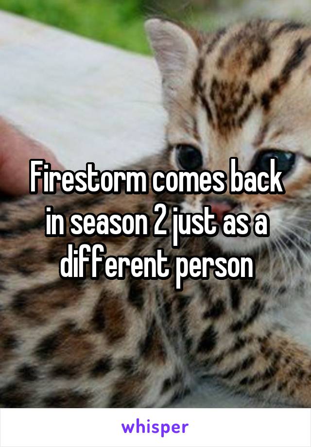 Firestorm comes back in season 2 just as a different person