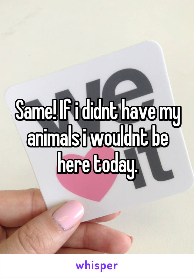 Same! If i didnt have my animals i wouldnt be here today.