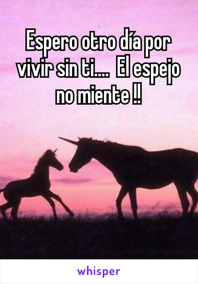 Espero otro día por vivir sin ti....  El espejo no miente !!