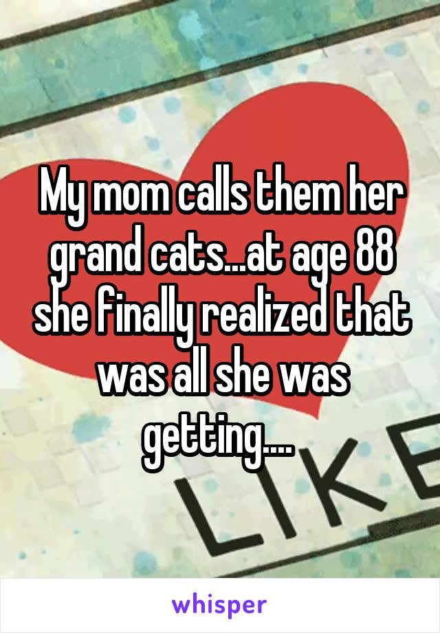 My mom calls them her grand cats...at age 88 she finally realized that was all she was getting.... 