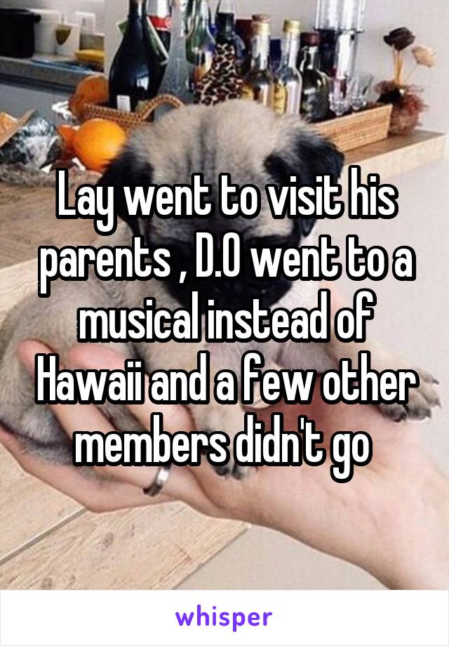 Lay went to visit his parents , D.O went to a musical instead of Hawaii and a few other members didn't go 