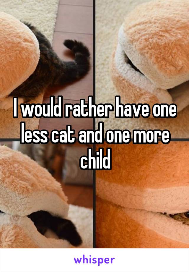 I would rather have one less cat and one more child