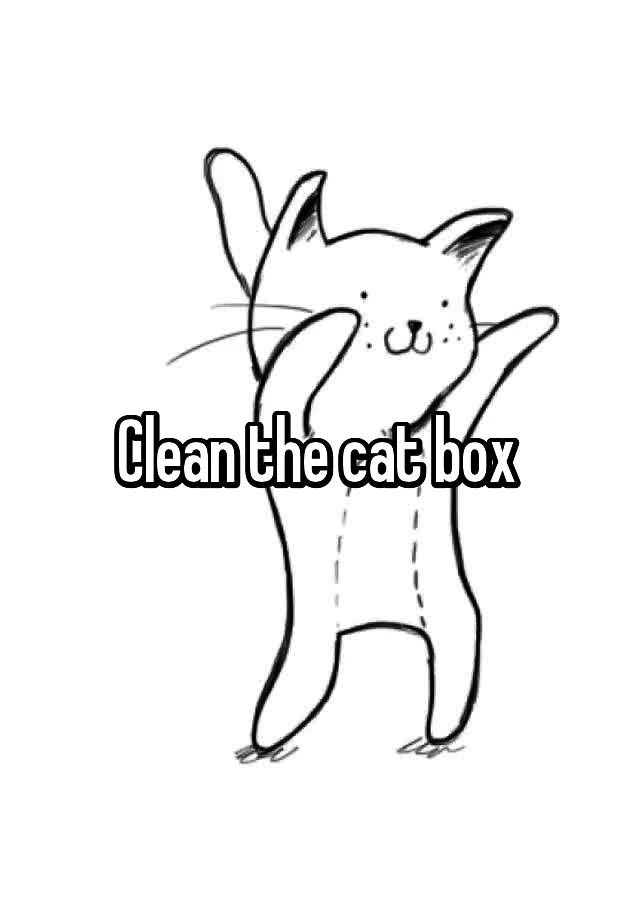 clean-the-cat-box