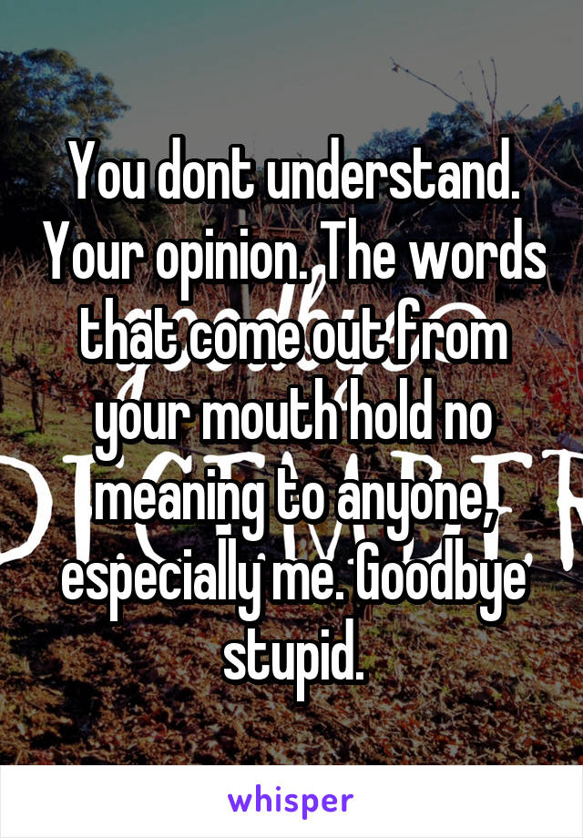 You dont understand. Your opinion. The words that come out from your mouth hold no meaning to anyone, especially me. Goodbye stupid.