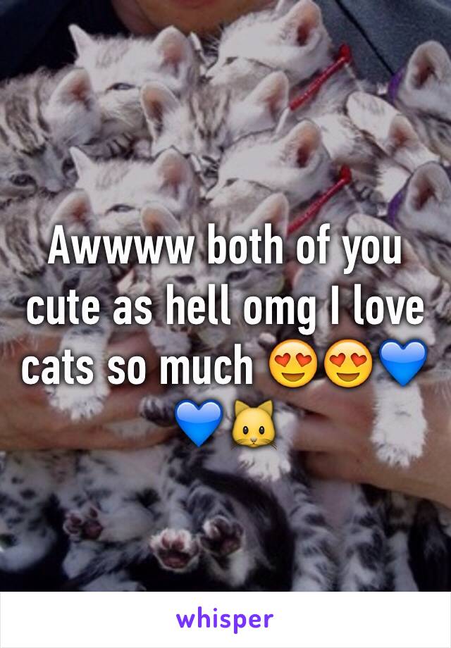 Awwww both of you cute as hell omg I love cats so much 😍😍💙💙🐱