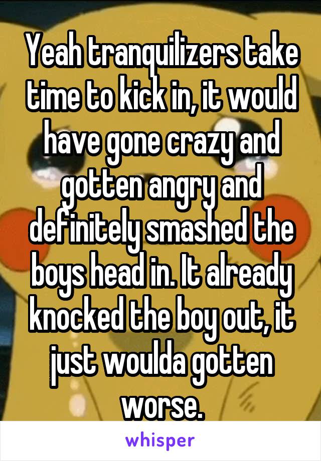 Yeah tranquilizers take time to kick in, it would have gone crazy and gotten angry and definitely smashed the boys head in. It already knocked the boy out, it just woulda gotten worse.