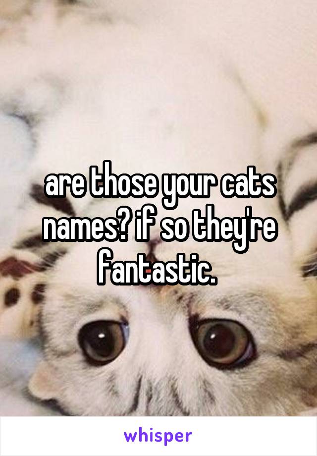 are those your cats names? if so they're fantastic. 