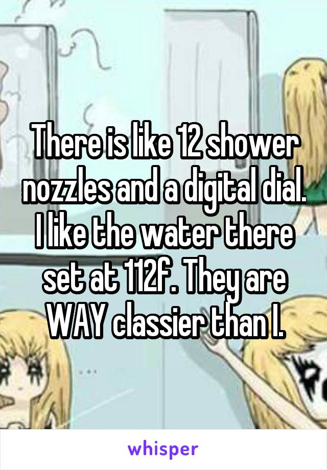 There is like 12 shower nozzles and a digital dial. I like the water there set at 112f. They are WAY classier than I.