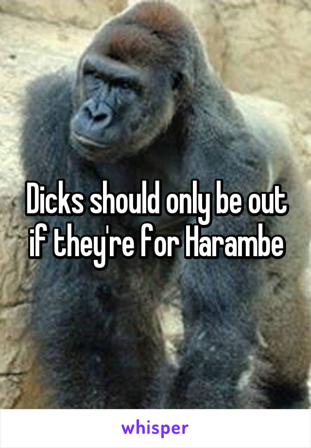 Dicks should only be out if they're for Harambe