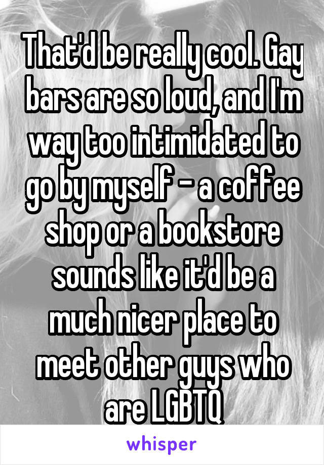 That'd be really cool. Gay bars are so loud, and I'm way too intimidated to go by myself - a coffee shop or a bookstore sounds like it'd be a much nicer place to meet other guys who are LGBTQ
