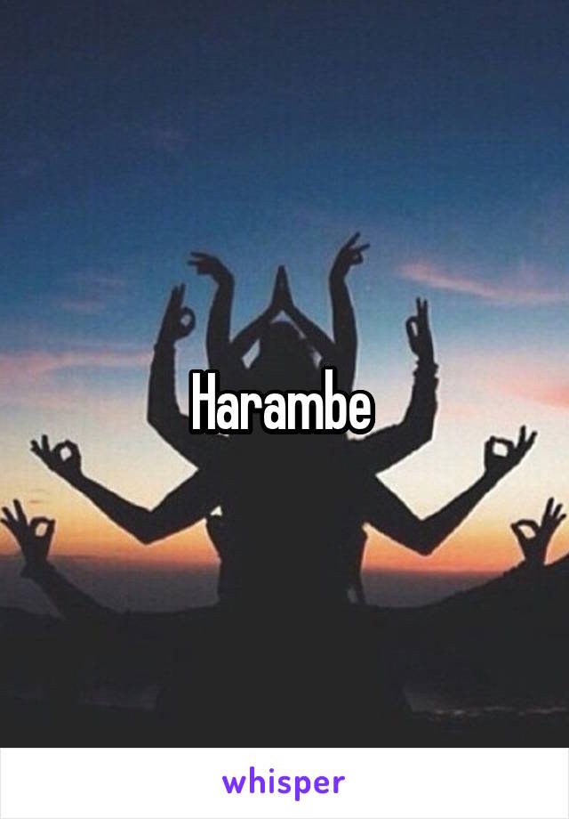 Harambe 