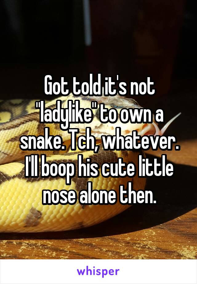 Got told it's not "ladylike" to own a snake. Tch, whatever. I'll boop his cute little nose alone then.