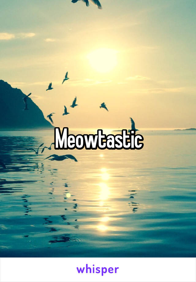 Meowtastic
