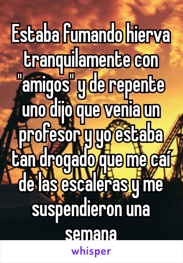 Estaba fumando hierva tranquilamente con "amigos" y de repente uno dijo que venia un profesor y yo estaba tan drogado que me caí de las escaleras y me suspendieron una semana