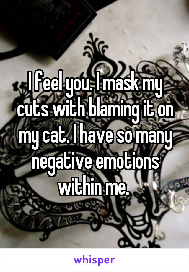 I feel you. I mask my cuts with blaming it on my cat. I have so many negative emotions within me. 