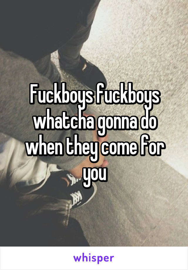 Fuckboys fuckboys whatcha gonna do when they come for you