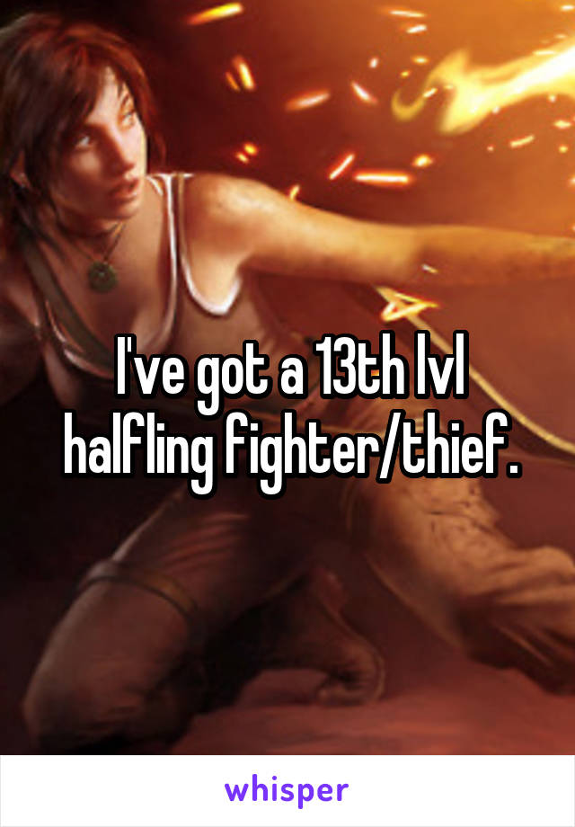 I've got a 13th lvl halfling fighter/thief.