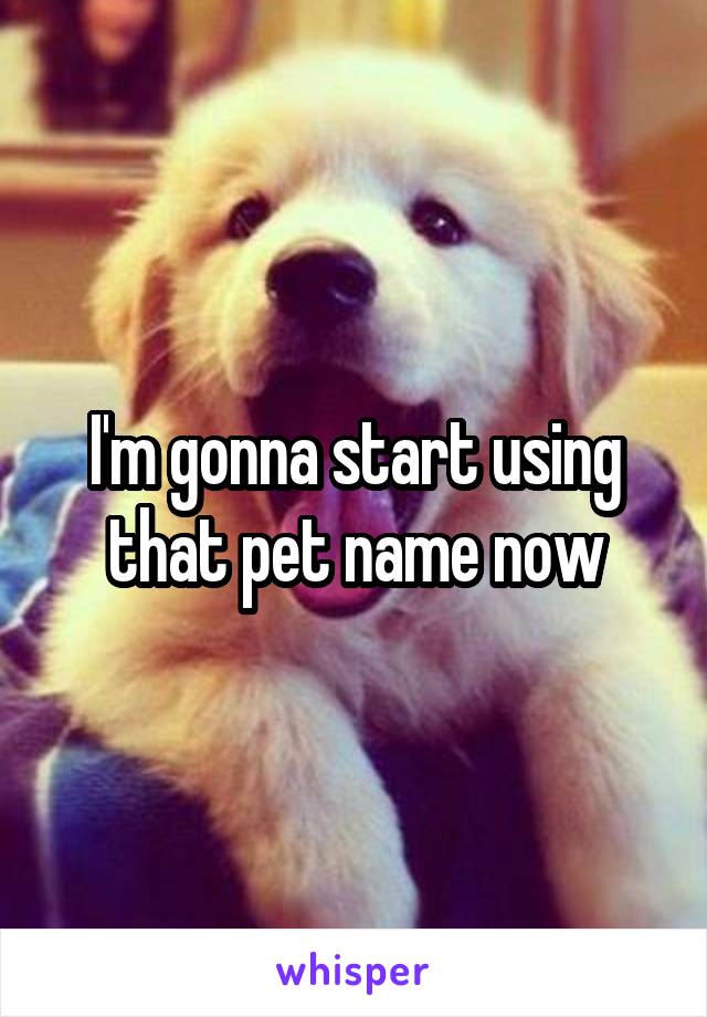 I'm gonna start using that pet name now