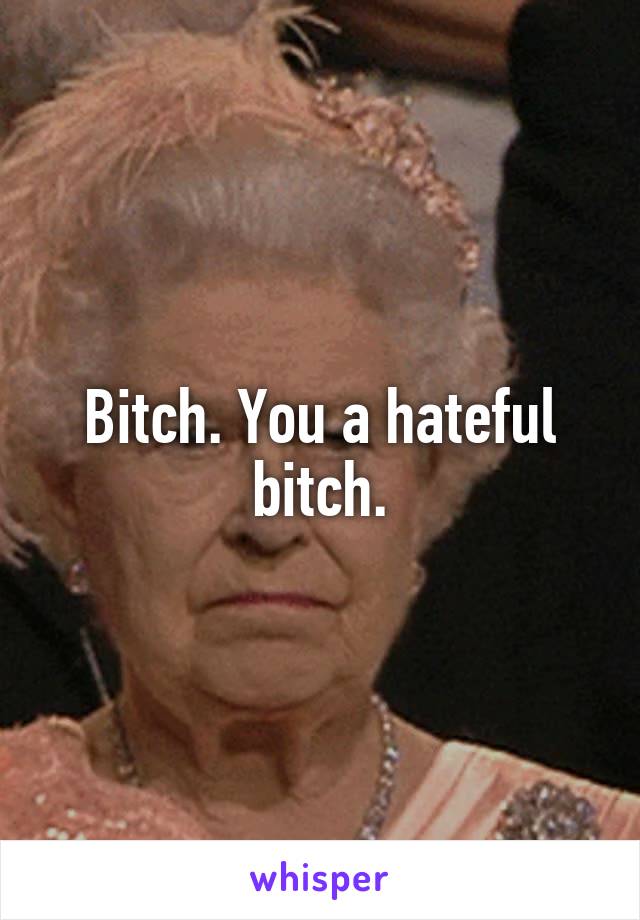 Bitch. You a hateful bitch.