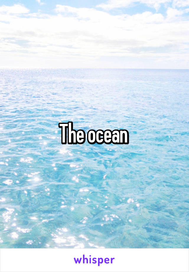 The ocean 