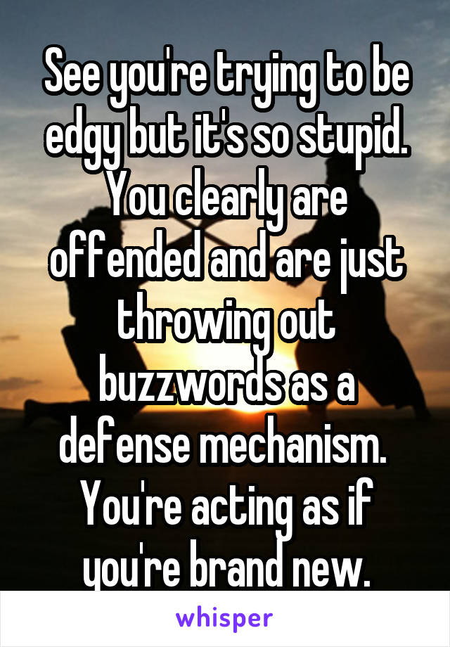 See you're trying to be edgy but it's so stupid. You clearly are offended and are just throwing out buzzwords as a defense mechanism.  You're acting as if you're brand new.