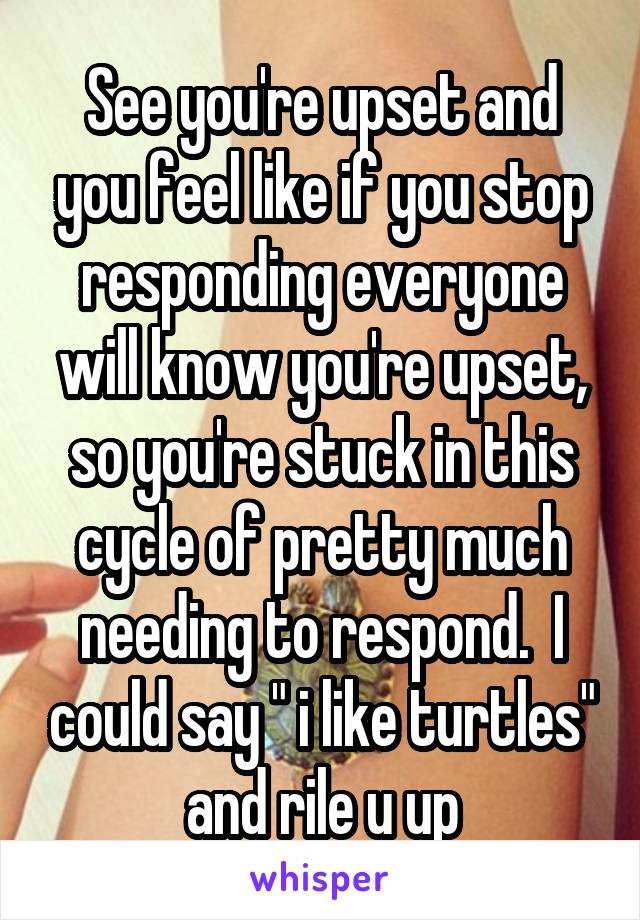 See you're upset and you feel like if you stop responding everyone will know you're upset, so you're stuck in this cycle of pretty much needing to respond.  I could say " i like turtles" and rile u up