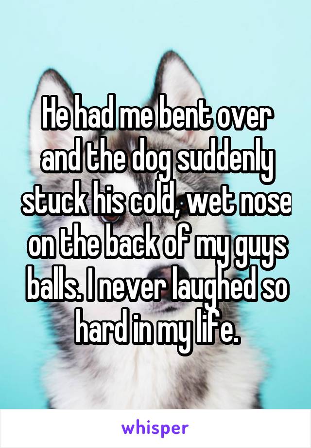 He had me bent over and the dog suddenly stuck his cold, wet nose on the back of my guys balls. I never laughed so hard in my life.