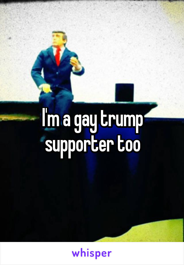 I'm a gay trump supporter too
