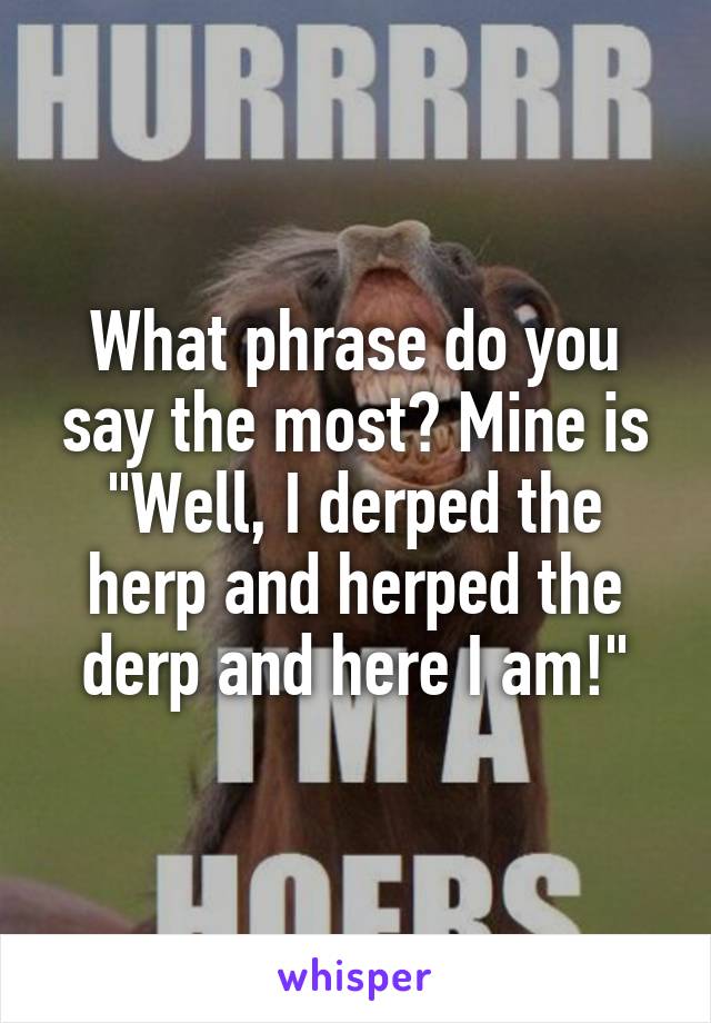 What phrase do you say the most? Mine is "Well, I derped the herp and herped the derp and here I am!"