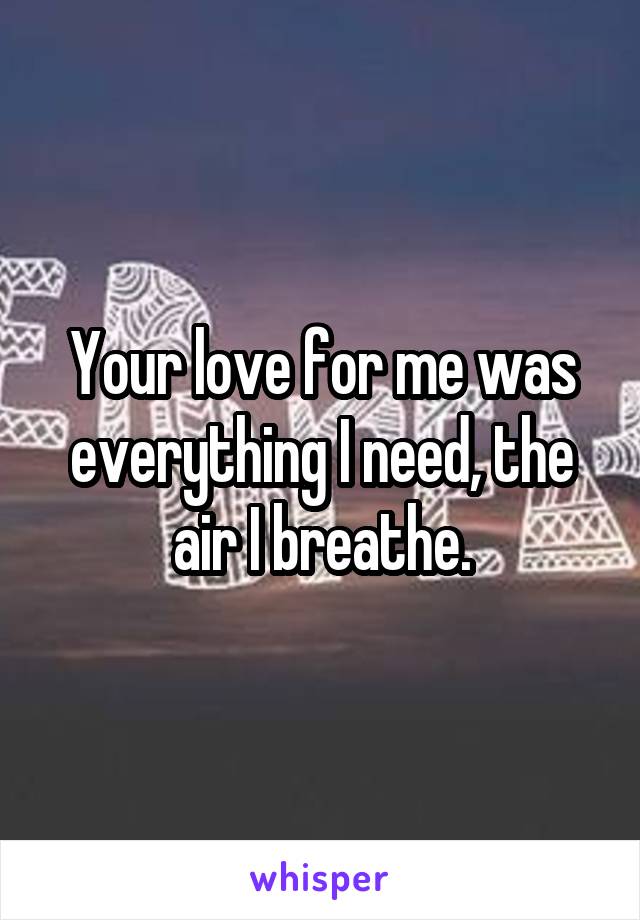 Your love for me was everything I need, the air I breathe.