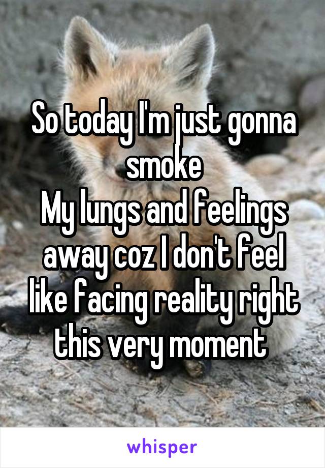 So today I'm just gonna smoke
My lungs and feelings away coz I don't feel like facing reality right this very moment 