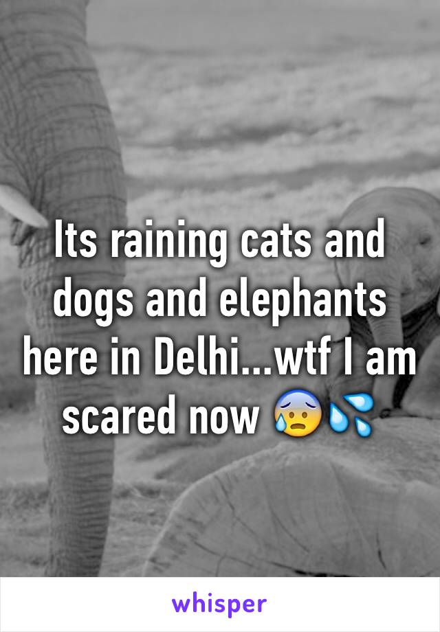 Its raining cats and dogs and elephants here in Delhi...wtf I am scared now 😰💦