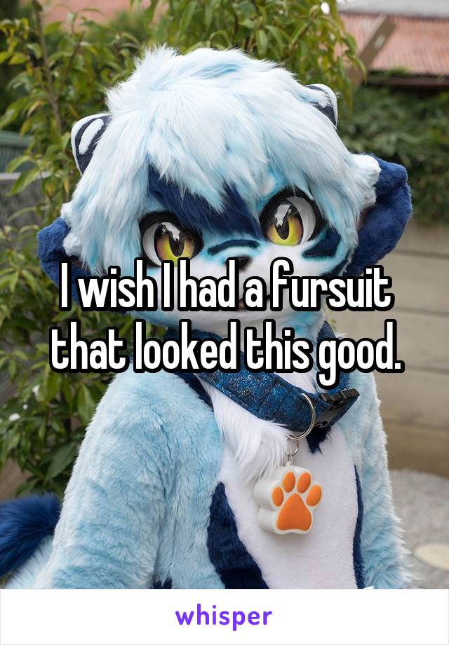 I wish I had a fursuit that looked this good.