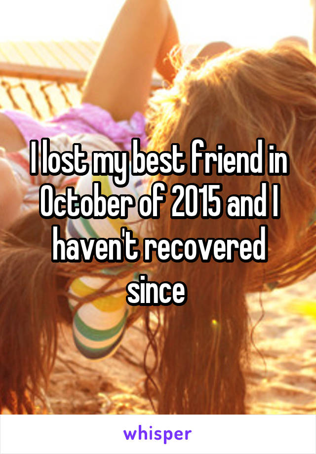I lost my best friend in October of 2015 and I haven't recovered since 
