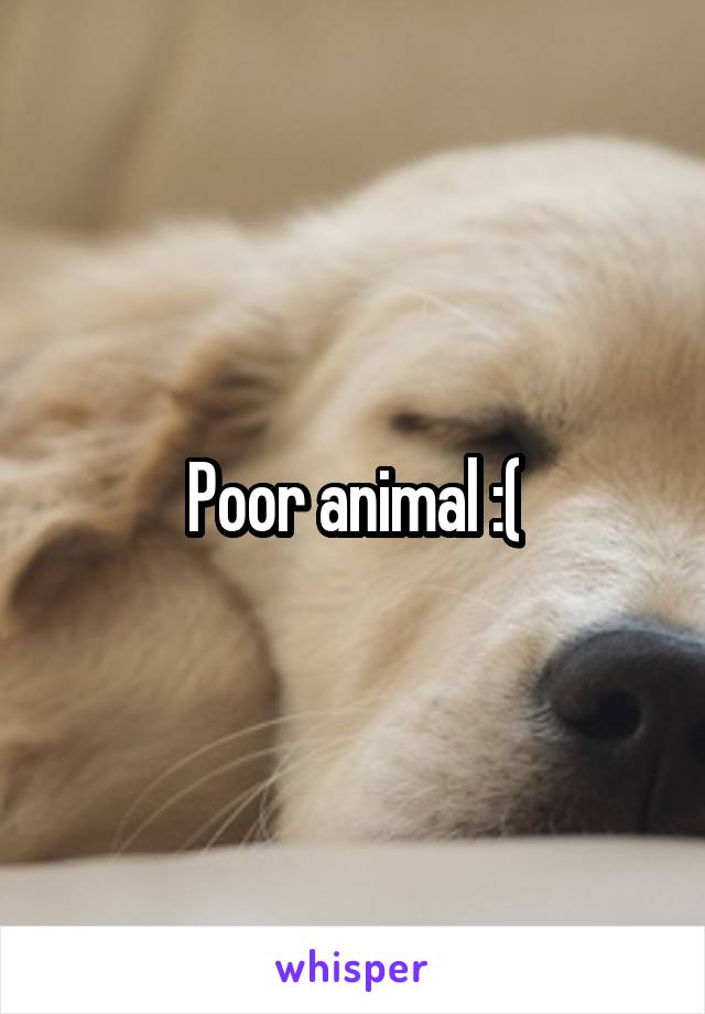 Poor animal :(