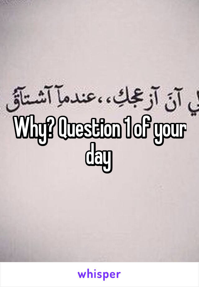 Why? Question 1 of your day 