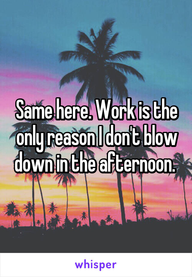 Same here. Work is the only reason I don't blow down in the afternoon. 