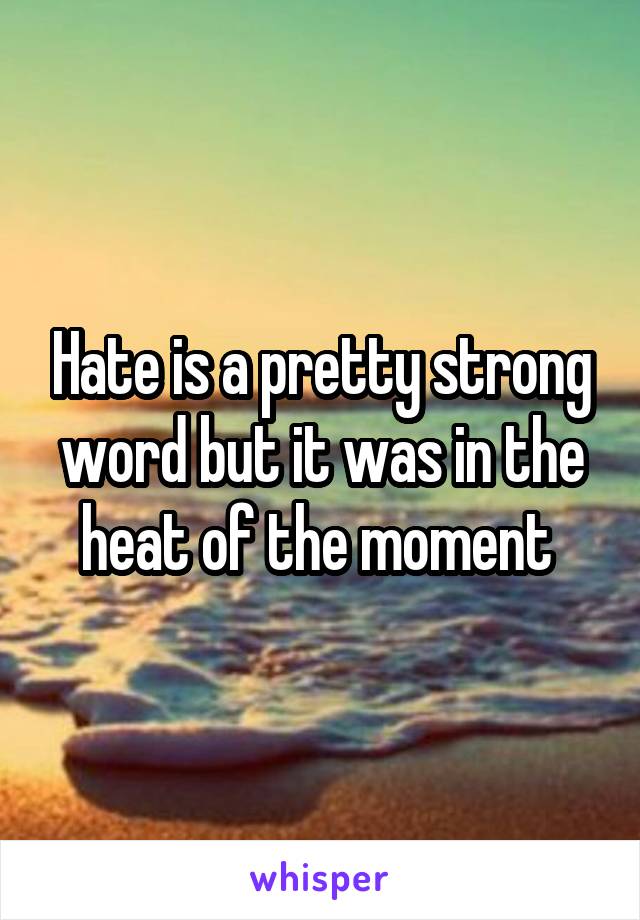 Hate is a pretty strong word but it was in the heat of the moment 