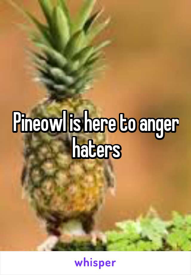 Pineowl is here to anger haters