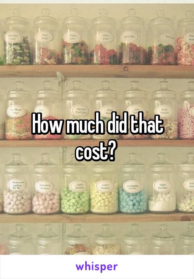 How much did that cost? 