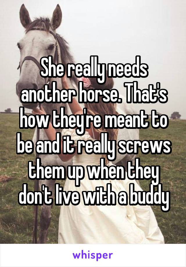 She really needs another horse. That's how they're meant to be and it really screws them up when they don't live with a buddy