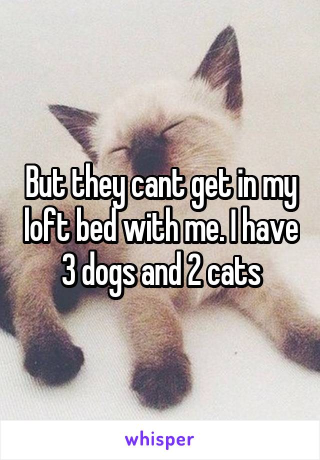 But they cant get in my loft bed with me. I have 3 dogs and 2 cats
