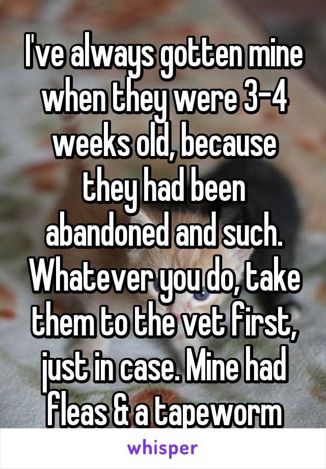 I've always gotten mine when they were 3-4 weeks old, because they had been abandoned and such. Whatever you do, take them to the vet first, just in case. Mine had fleas & a tapeworm