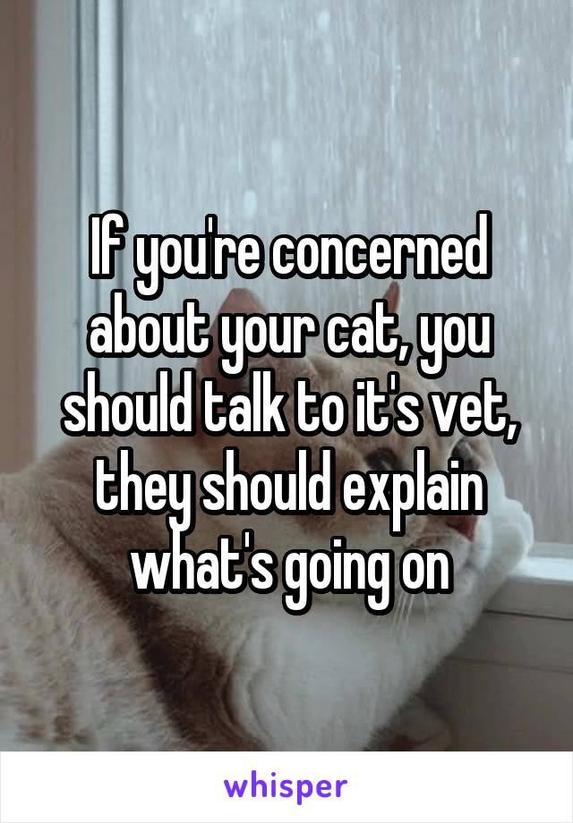 If you're concerned about your cat, you should talk to it's vet, they should explain what's going on