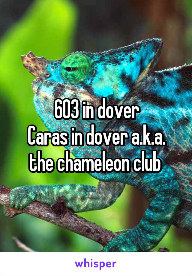 603 in dover
Caras in dover a.k.a. the chameleon club 