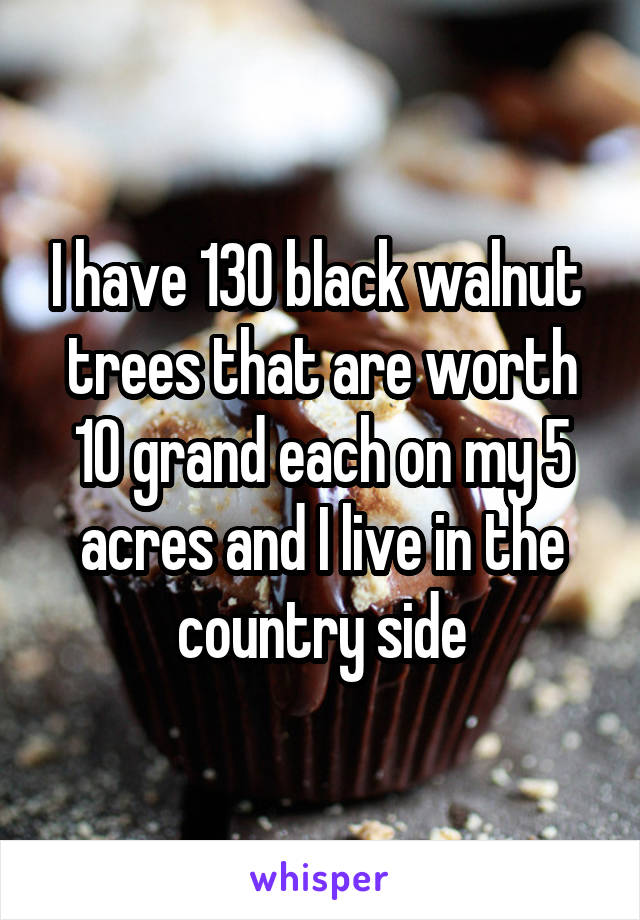 I have 130 black walnut  trees that are worth 10 grand each on my 5 acres and I live in the country side